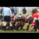 image 34 of 61